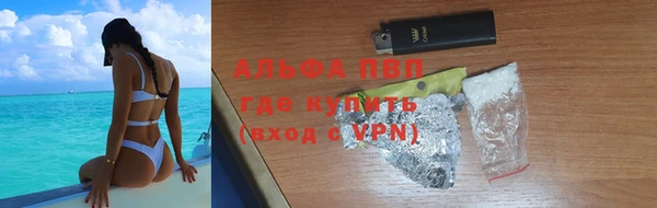 гидра Аркадак