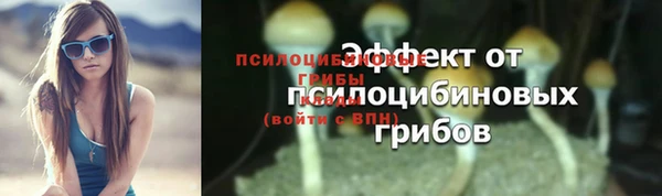 гидра Аркадак