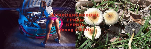 прущий лед Балахна