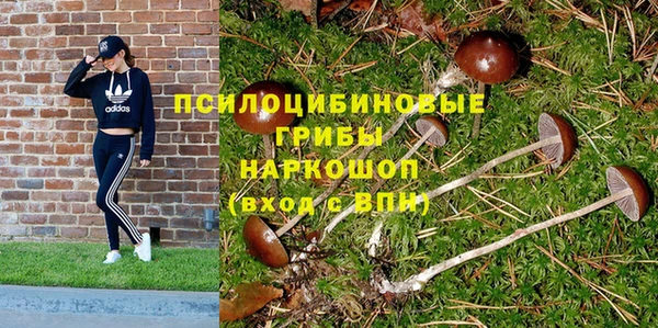 гидра Аркадак
