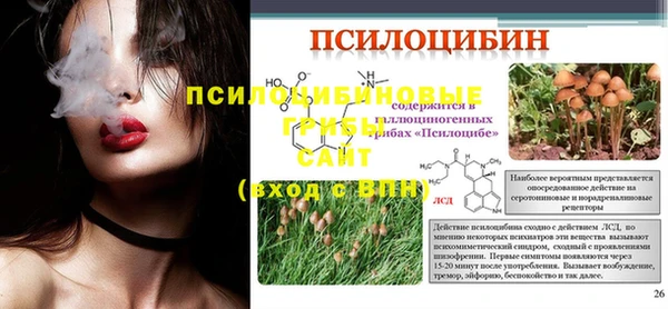 a pvp Арсеньев