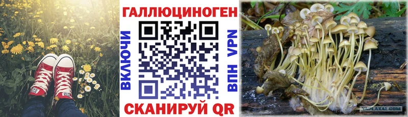 Галлюциногенные грибы Cubensis  наркошоп  Ясногорск 